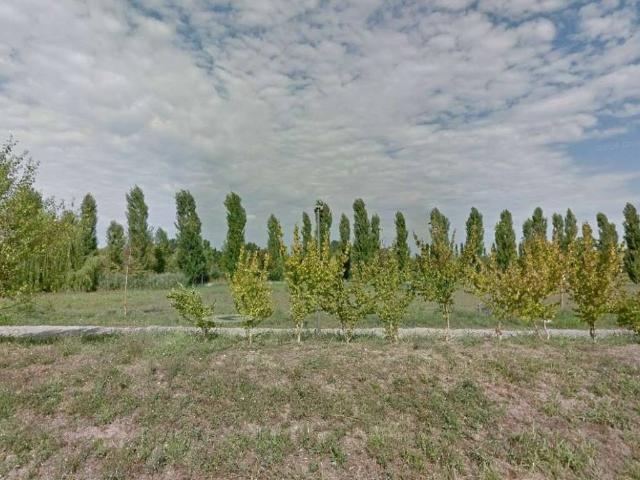 Terreno in vendita a San Giorgio Bigarello, Mottella