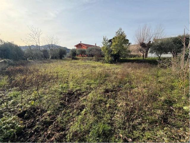 Terreno in vendita a Calvi, Campania