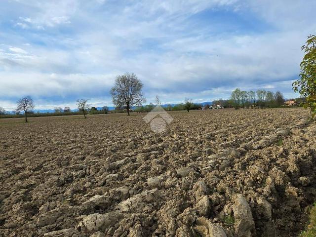 Terreno in vendita a Bosco del Vescovo, Campodarsego