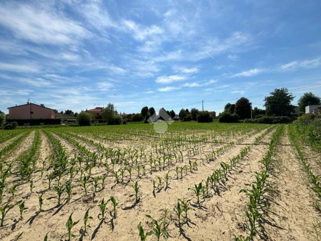 Terreno in vendita a San Giorgio Delle Pertiche, Veneto