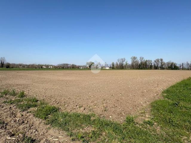 Terreno in vendita a San Giorgio In Bosco, Veneto