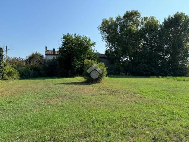 Terreno in vendita a Cogno, San Giorgio in Bosco
