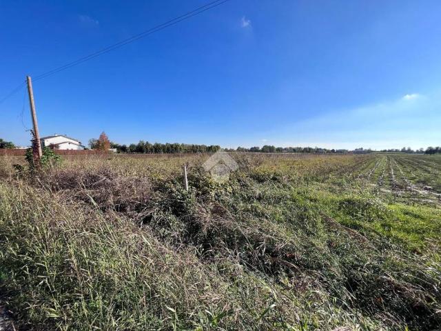 Terreno in vendita a San Giorgio In Bosco, Veneto