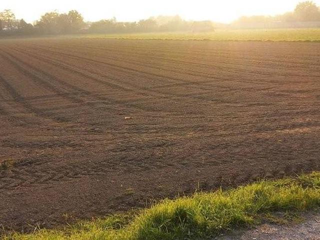 Terreno in vendita a San Giorgio In Bosco, Veneto