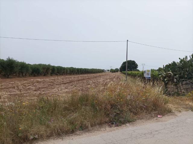 Terreno in vendita a Puglia, Taranto