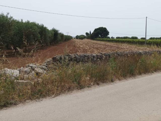 Terreno in vendita a Puglia, Taranto