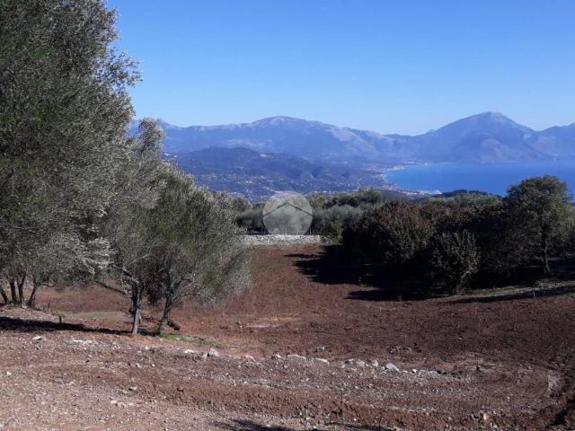 Terreno in vendita a Bosco, San Giovanni A Piro