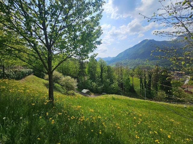 Terreno in vendita a Comunità Montana della Valle Brembana, San Giovanni Bianco