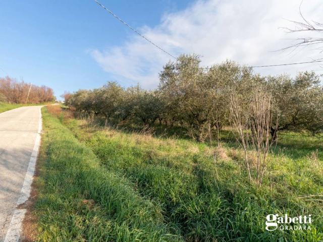 Terreno in vendita a San Giovanni In Marignano, Reggio Emilia
