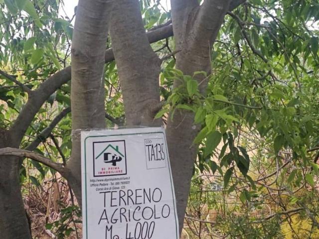 Terreno in vendita a San Giovanni La Punta, Sicilia