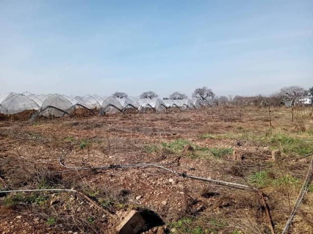 Terreno in vendita a Sud, Brenzone