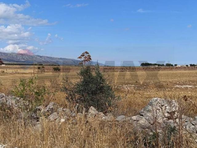 Terreno in vendita a Puglia, Foggia
