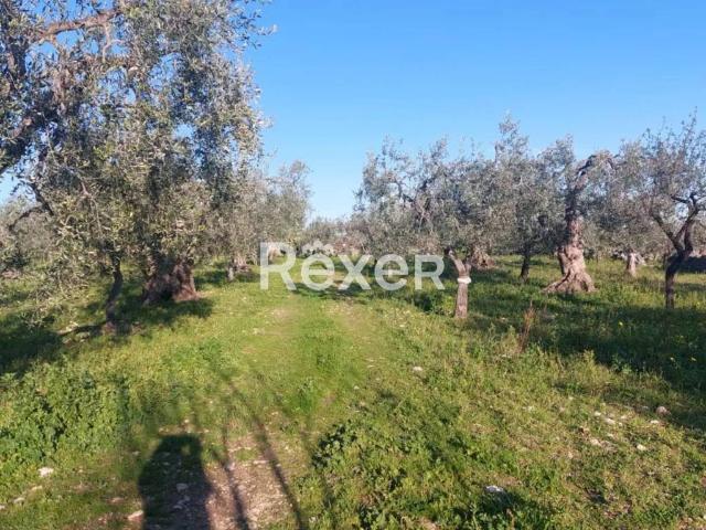 Terreno in vendita a Puglia, Foggia