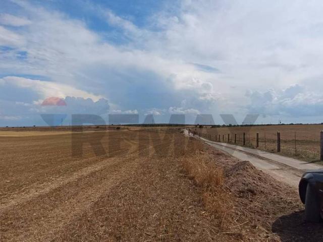 Terreno in vendita a San Giovanni Rotondo, Foggia
