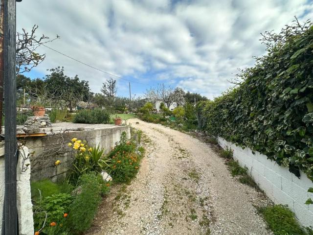 Terreno in vendita a Puglia, Foggia