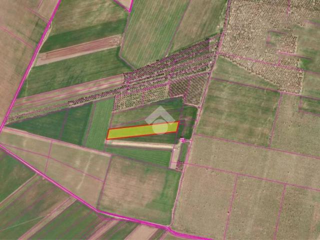 Terreno in vendita a Puglia, Foggia