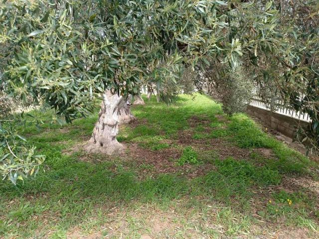 Terreno in vendita a San Giovanni Suergiu, Sardigna/Sardegna