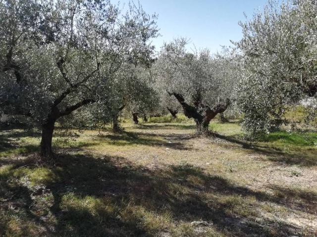 Terreno in vendita a San Giovanni Teatino, Abruzzo