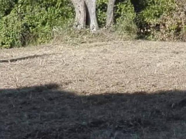 Terreno in vendita a San Giovanni Teatino, Abruzzo
