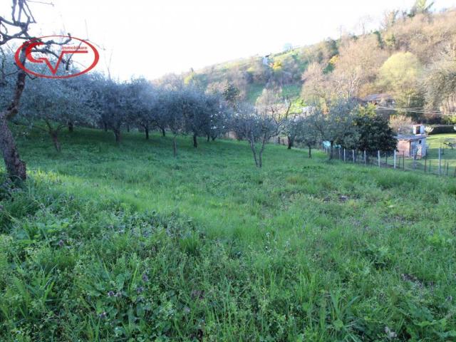 Terreno in vendita a San Giovanni Valdarno, Toscana