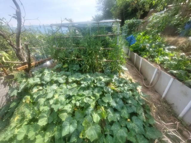 Terreno in vendita a San Giovanni Valdarno, Toscana