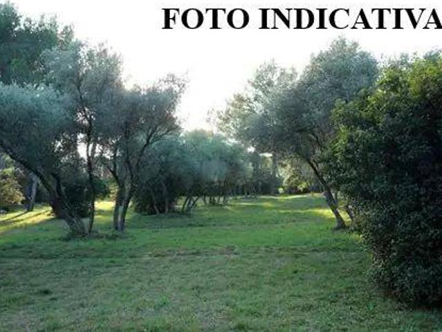 Terreno in vendita a San Giuliano Terme, Toscana