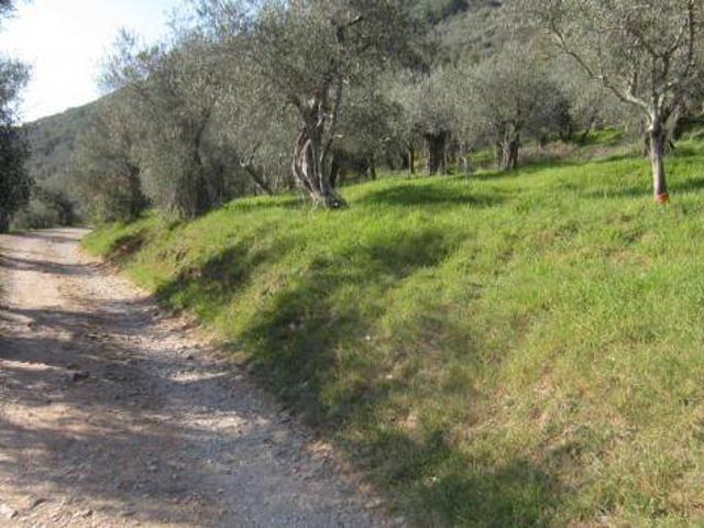 Terreno in vendita a San Giuliano Terme, Toscana