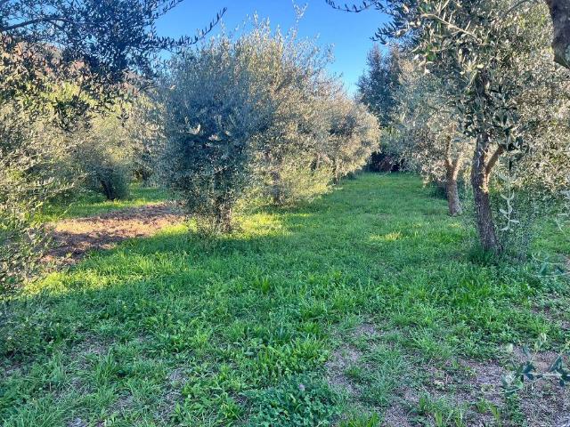 Terreno in vendita a Molina di Quosa, San Giuliano Terme