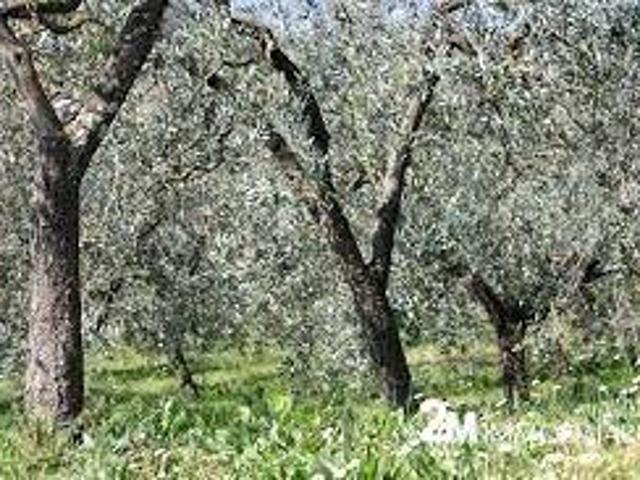 Terreno in vendita a San Giuliano Terme, Toscana