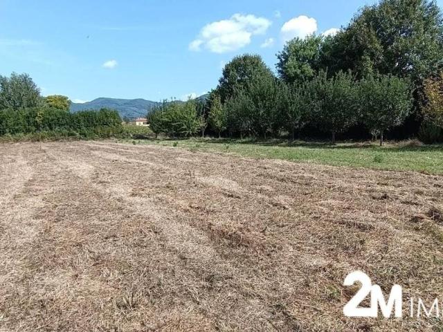 Terreno in vendita a San Martino Ulmiano, San Giuliano Terme