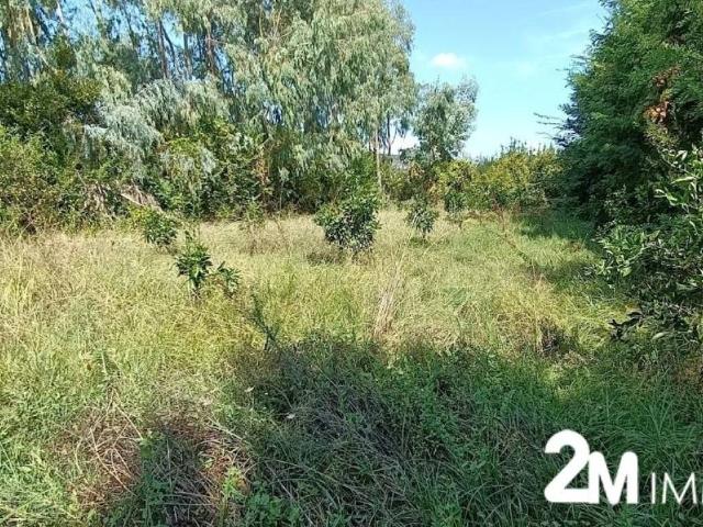 Terreno in vendita a San Martino Ulmiano, San Giuliano Terme
