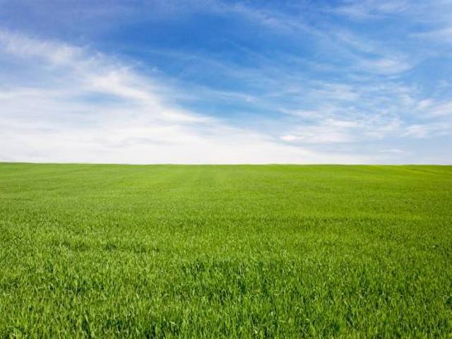 Terreno in vendita a Gello, San Giuliano Terme