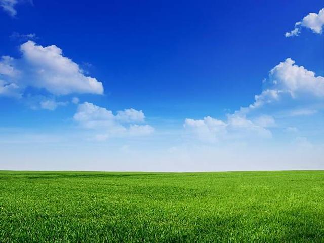 Terreno in vendita a Gello, San Giuliano Terme