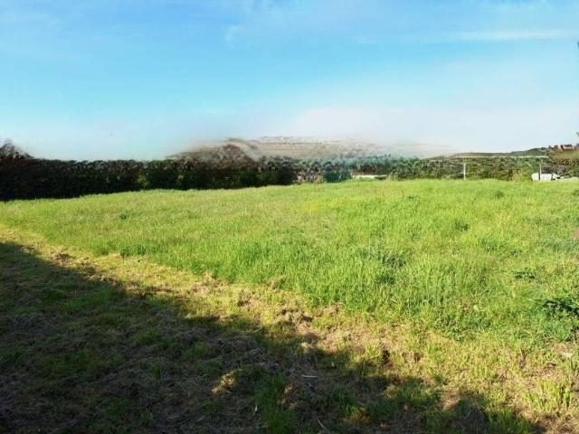 Terreno in vendita a Gello, San Giuliano Terme