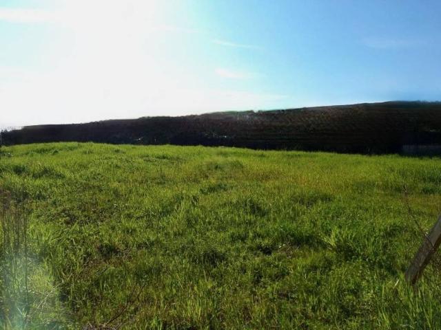 Terreno in vendita a Gello, San Giuliano Terme