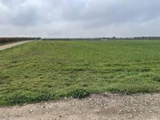 Terreno in vendita a Gello, San Giuliano Terme