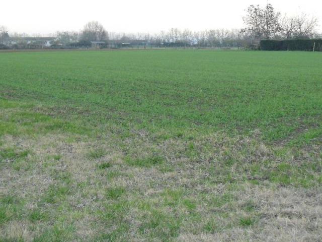Terreno in vendita a Colunga, San Lazzaro