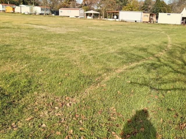 Terreno in vendita a Cicogna, San Lazzaro