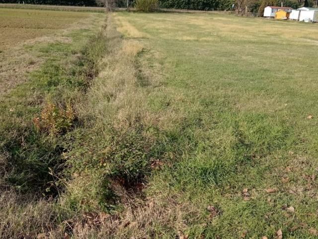 Terreno in vendita a Cicogna, San Lazzaro