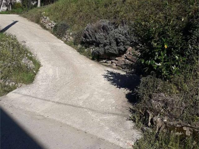 Terreno in vendita a San Leucio Del Sannio, Campania