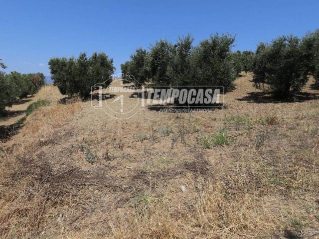 Terreno in vendita a San Lorenzo del Vallo, Cosenza