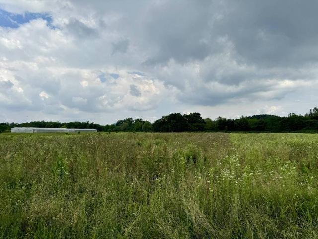 Terreno in vendita a San Lorenzo Isontino, Friuli-Venezia Giulia