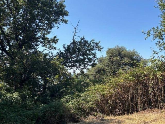 Terreno in vendita a San Lorenzo Nuovo, Lazio