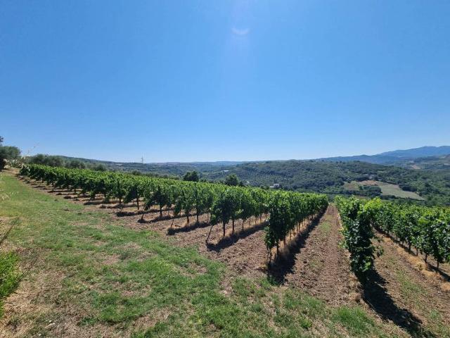 Terreno in vendita a San Mango Sul Calore, Campania