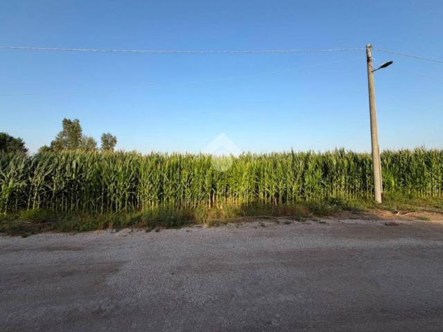 Terreno in vendita a San Marcellino, Campania