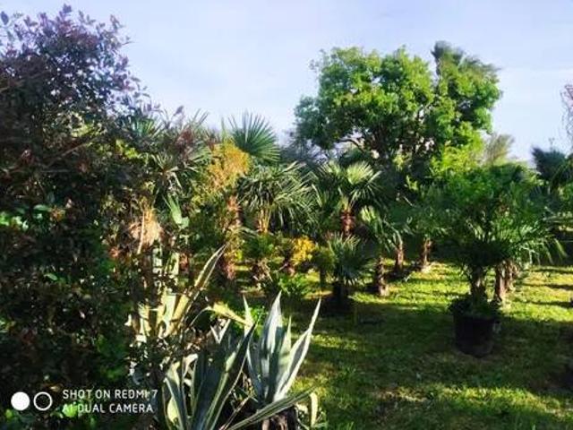 Terreno in vendita a San Marcellino, Campania