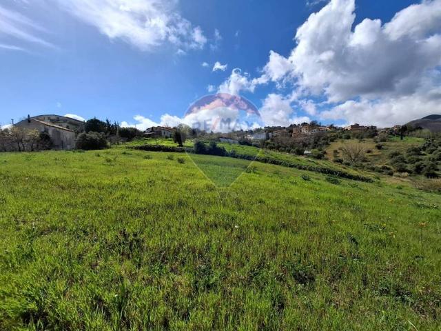 Terreno in vendita a Calabria, Cosenza