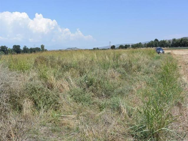 Terreno in vendita a San Marco Argentano, Cosenza