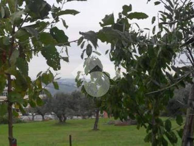 Terreno in vendita a Domagnano