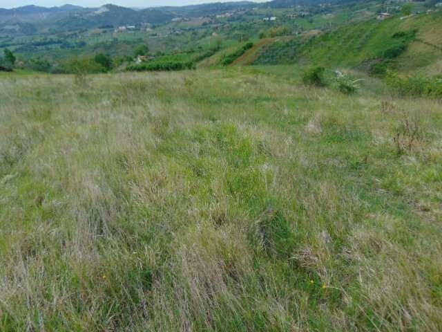 Terreno in vendita a Fiorentino